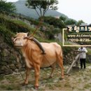 학 조형물 이미지