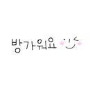 해드림법률사무소 이미지