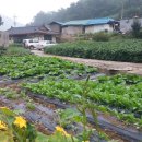 슬로시티수산마을 이미지