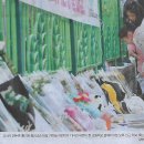 아이든 이미지