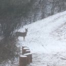 수피아민박 이미지