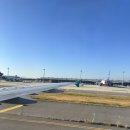 털좀밀개 | 머리털 나고 처음 간 일본 여행 얘기