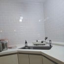 쥬쥬동물병원 | 번개로 갔지만 반려동물 동반 가능한 포항 씨클라우드 펜션 후기