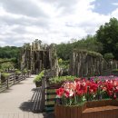 무릉도원 이미지