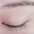 엘라아이래쉬
