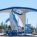 9월 29일 영덕 메타세쿼이아 숲길&amp;고래불해수욕장 솔숲길 트레킹 이미지