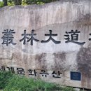 양산시종합관광안내소 이미지