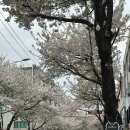 홈마트옛날과자