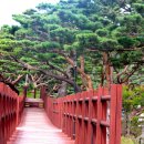 환상1리 이미지