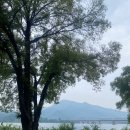 그림정원 | 양수리 카페 그림정원 다녀온 후기