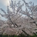 연지중기