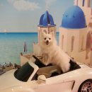 엘리하우스 이미지