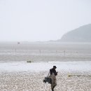 비 내리는 인천 무의도 갯벌 ( 창사회 출사 2026.5.21) 이미지