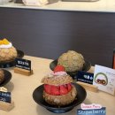 3372 | 경주 황리단길 카페 소보로슈 맛집 프롬상록 방문후기 | 경주여행 사진 잘나오는 곳 추천