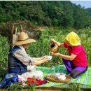 바쁘게 사는 길이 장수비결 이미지