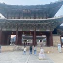 경복궁 | 야간 산책 추천, 경복궁 야경 후기