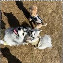 시화유치원 이미지