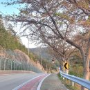 평인일주로 이미지