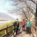 하동 섬진강변길 이미지