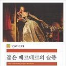 괴테의 젊은 베르테르의 슬픔 이미지