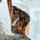 호박다방 | 빽다방 신메뉴 후기 저당 제로 아이스티 에이드 프로틴 클러스터