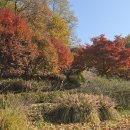 율곡수목원(1) 이미지