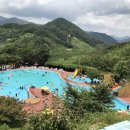 서지농원 이미지