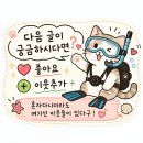 프리다이빙 롱핀백 추천 | 더블케이·오션태그·테무 롱핀가방 비교 후기