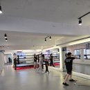 펀치라인복싱 | 강북 복싱장, 미아동복싱장 추천! 시설이 깔끔한 &lt; 펀치라인복싱 &gt; 등록 후기 :)
