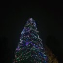 오늘맥주 | 삿포로맥주박물관 후기 | 예약 없이도 즐긴 시음 3종세트 &amp; 야경 분위기