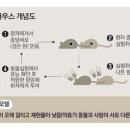 600007 이미지