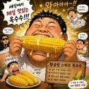 서울미니슈퍼 | [강동구:명일동] 강동구 불가사의 두 곳 명일동 줄 서서 사 먹는 옥수수 현대미니슈퍼 백두 감자탕