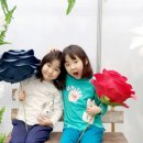 주식회사 크멋자이언트플라워