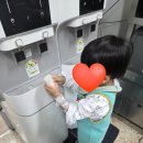 성모어린이집 | RSV감염, 미숙아 폐 미성숙, 부천 성모병원 입원 후기 - 세번째