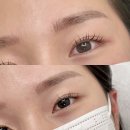 디자인하움 이미지