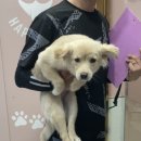 멍블리하우스 이미지