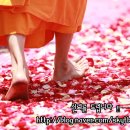에스에스엠주 이미지