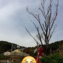하이원추추파크 이미지