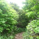 영각사주차장 이미지