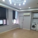 성원 쌍떼뷰 이미지