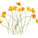 서상동109 이미지