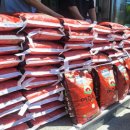 올굿마취통증의학과의원 | 동네 의원이 지역 사회와 함께하는 방법 [류창준 올굿마취통증의학과 원장]