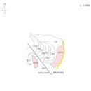 와읍리 이미지