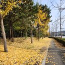 행복한가게세탁소 이미지