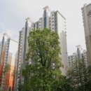 센트럴강남공인중개사사무소 이미지