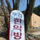 힐링궁 이미지