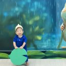 초록샘어린이집 | 15개월 아기 문화센터 진주 우주문화아카데미 유니크아 여름학기 수강후기 #연잎부침