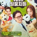 털뭉치들 이미지