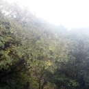 기곡농장 | 제주관광 최고의 여행 안덕계곡 선사의 원시에서 추사와 창천의 유배인들을 만나다