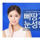 삐땅기의원 네이버블로그
